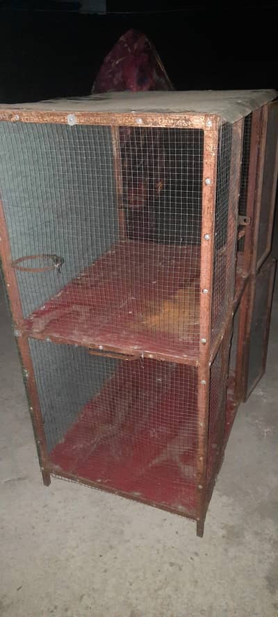 iron cage