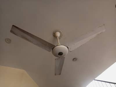 Ceiling fan urgent sale