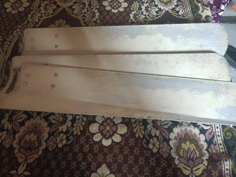 Pak Ceiling Fan 0