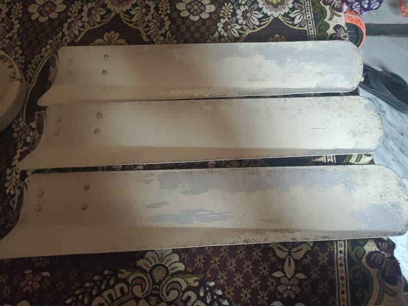 Pak Ceiling Fan 1