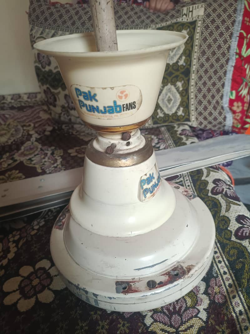 Pak Ceiling Fan 3