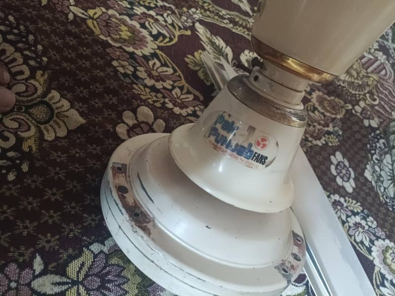 Pak Ceiling Fan 5