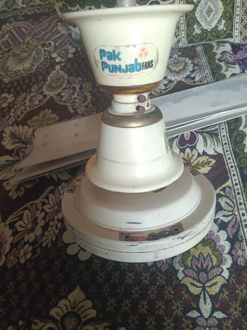 Pak Ceiling Fan 6