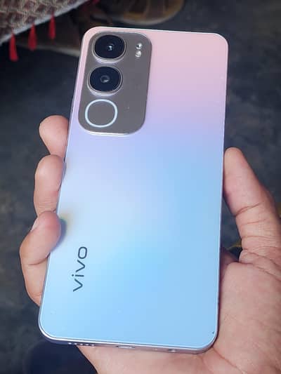 vivo y 19s official pta approved