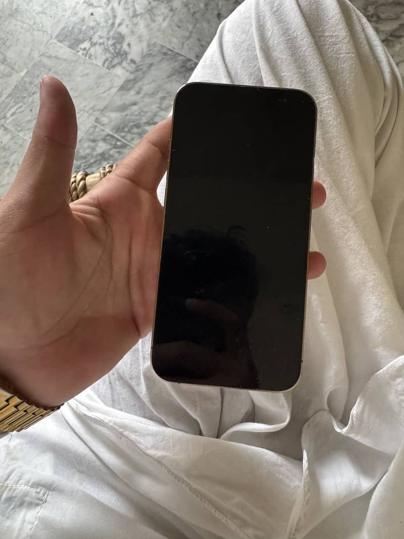Iphone 13pro jv 2