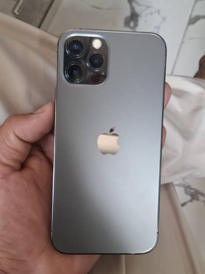 12 pro 256GB