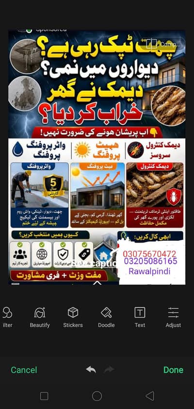 Termite Control, Fumigation Spray &Sofa Carpet Cleaning Service