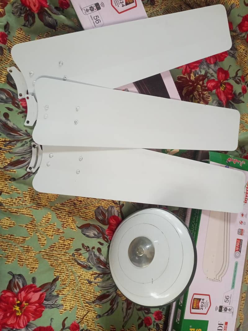 یہ چھت والے پنکھے ہیں 1