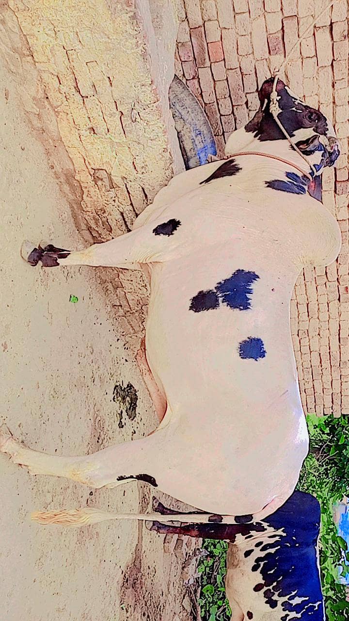 . . . . . 3