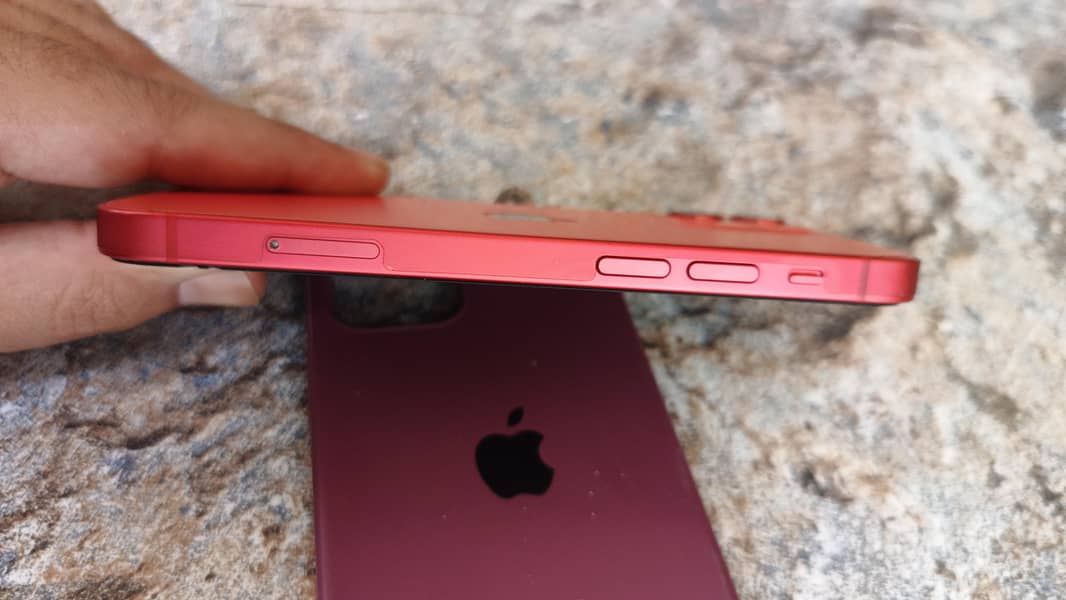 iPhone 12 mini 1