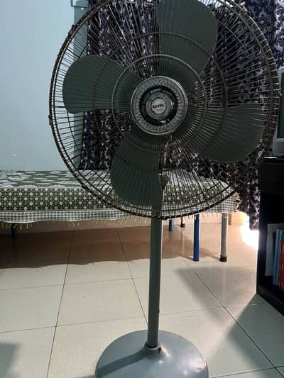 Royal Fans pedestal