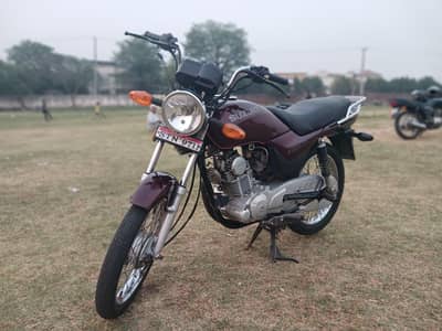 SUZUKI GD 110