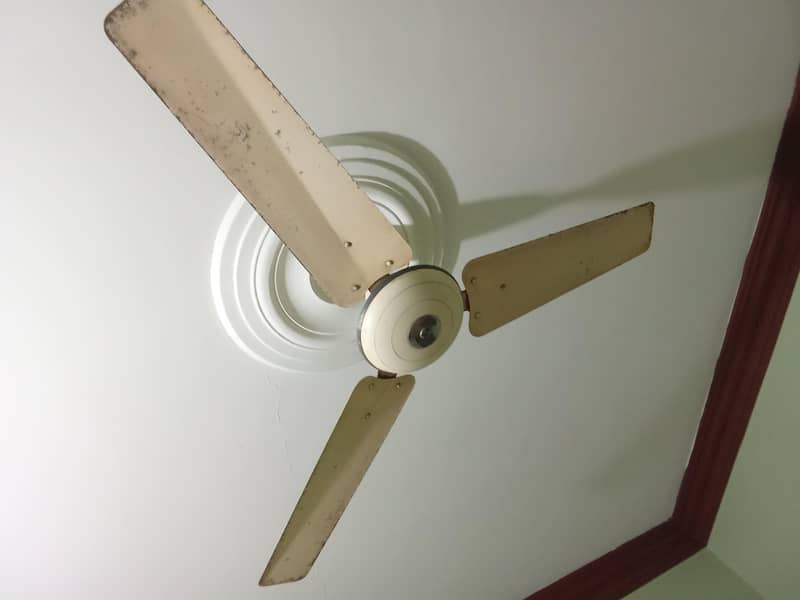Pak Fan 0