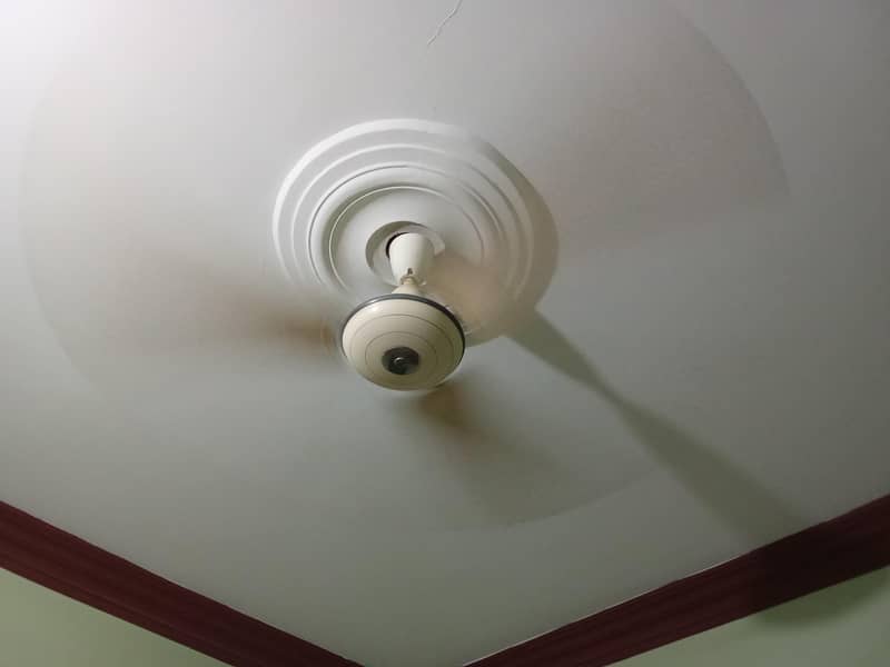 Pak Fan 1