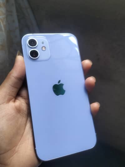iPhone 12