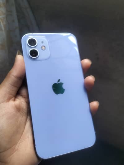iPhone 12