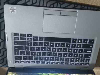Dell 5310  touch secreen camera yes