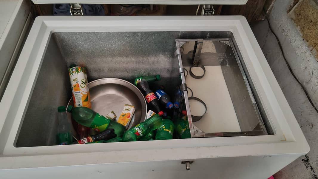 D FREEZER 1