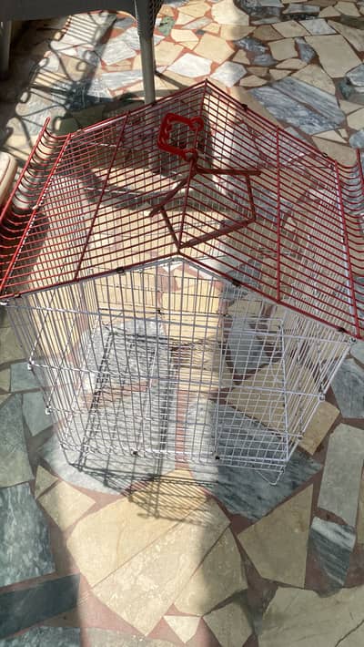 Cage For Birds