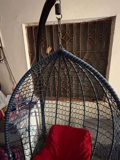 swing jhula