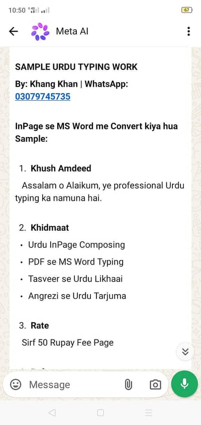 urdu typing expert/in page to MS word/24hr delivery