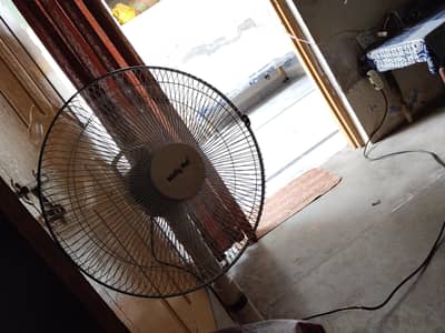 fan white