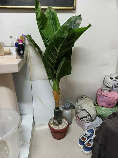 Urgent Sale 4 feet Artificial Plant Like New Washable.