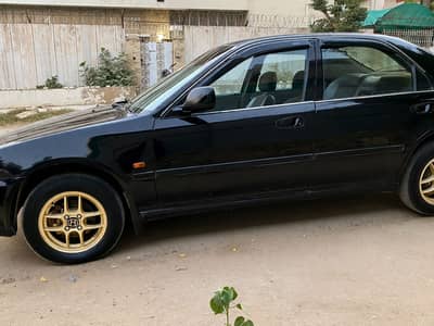 Civic Dolphin