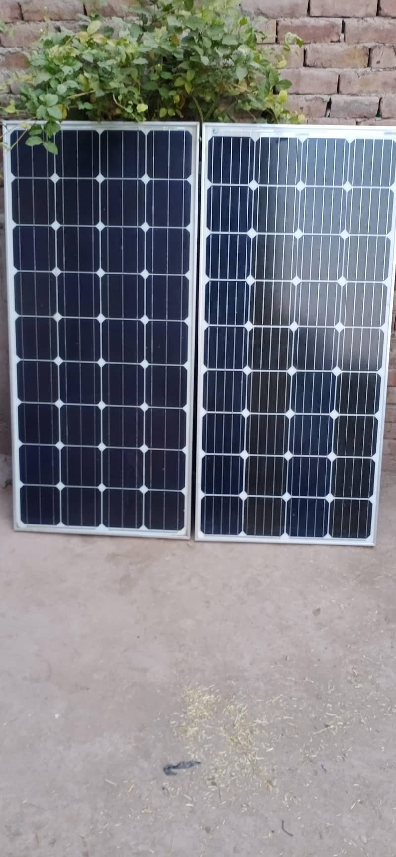 150 what Soler panel 2