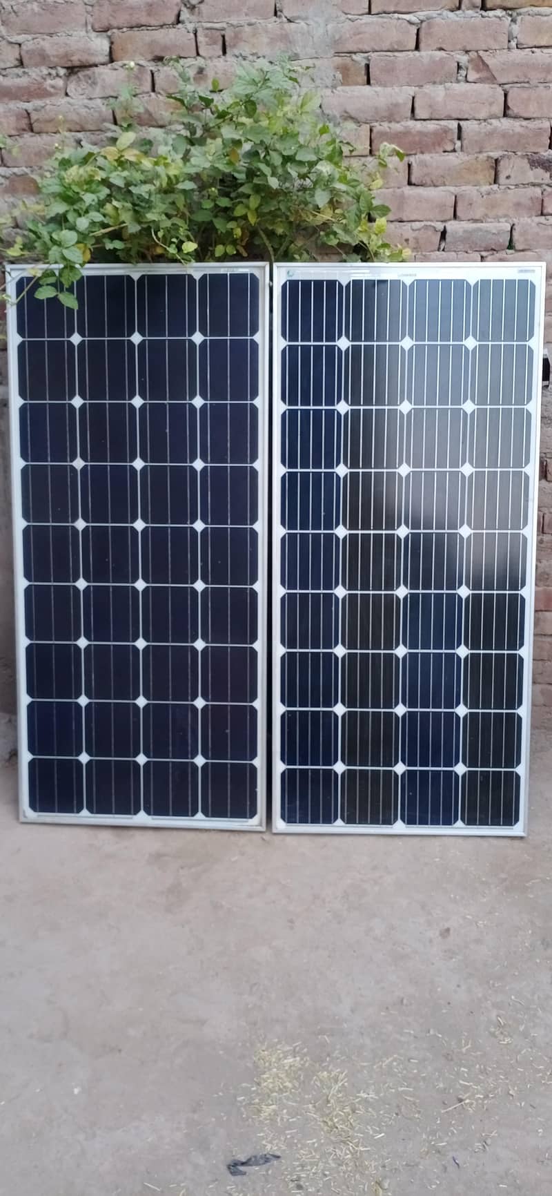 150 what Soler panel 3