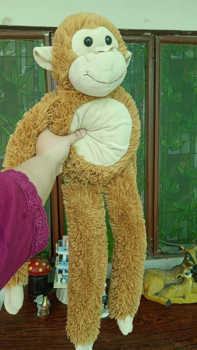 preloved Long Arm monkey for sale