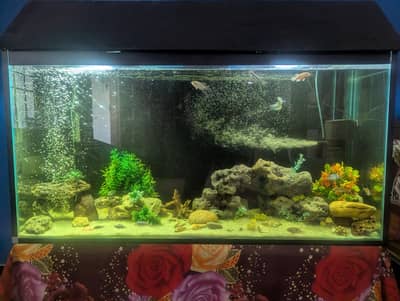 aquarium
