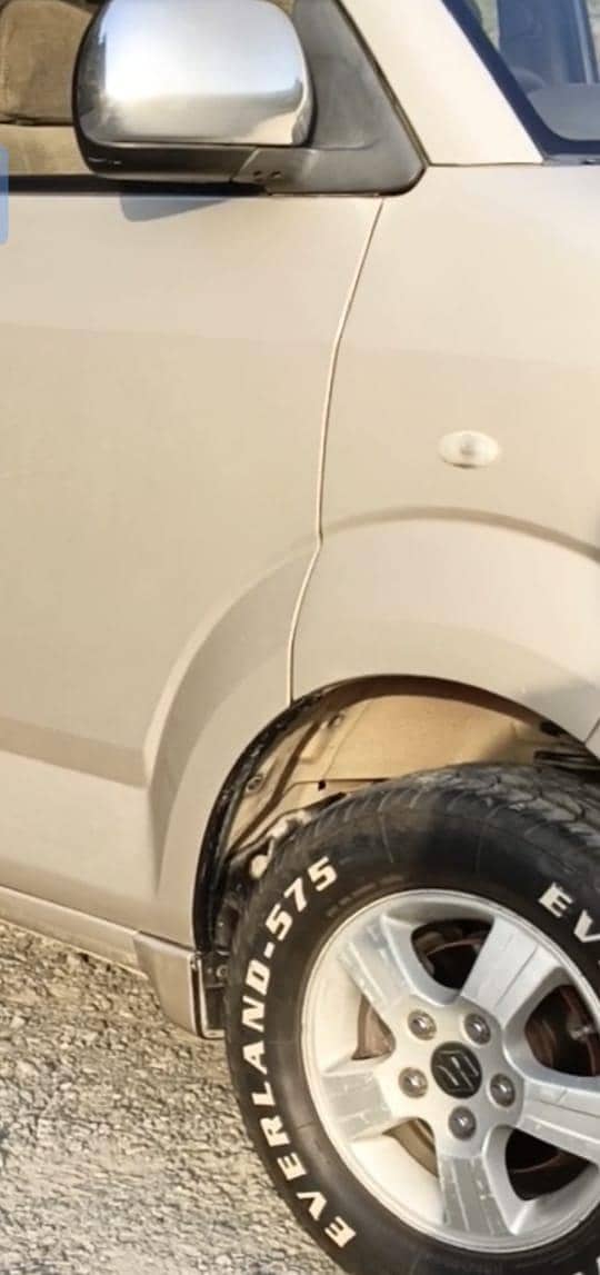 apv lush condition 12