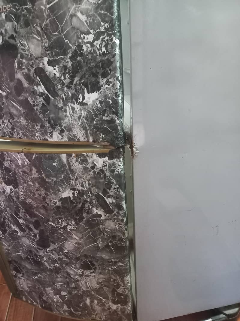 medium sized refrigerator 1