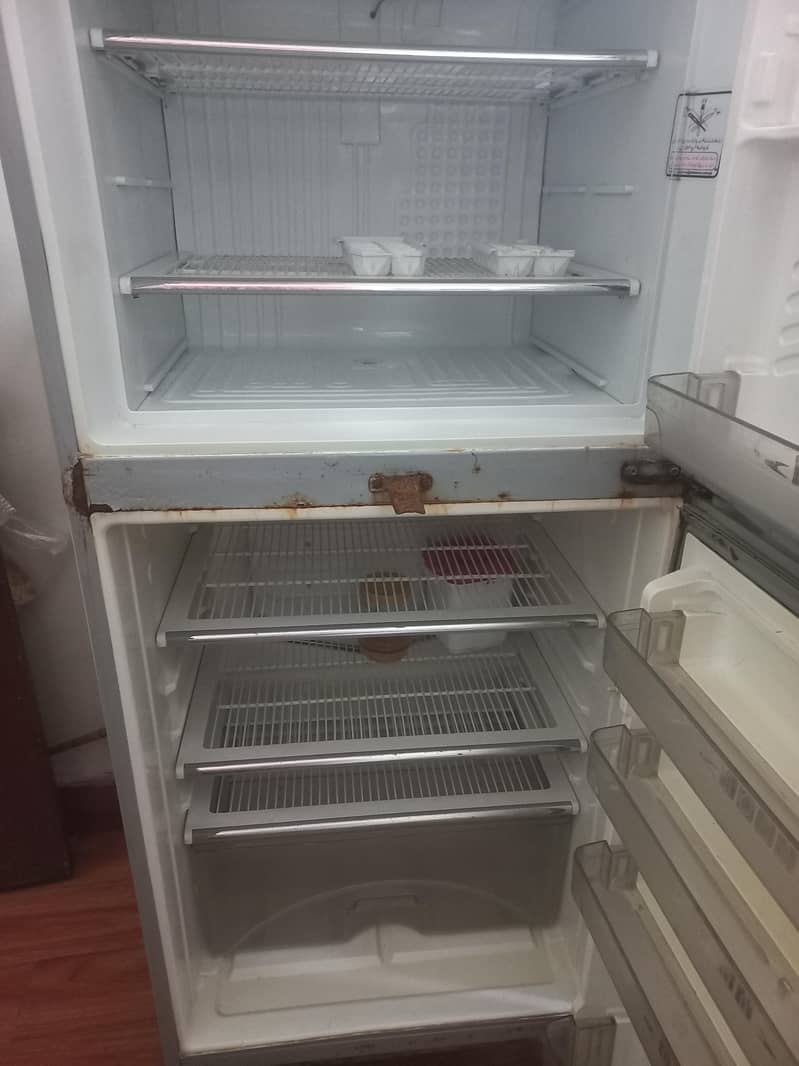 medium sized refrigerator 4