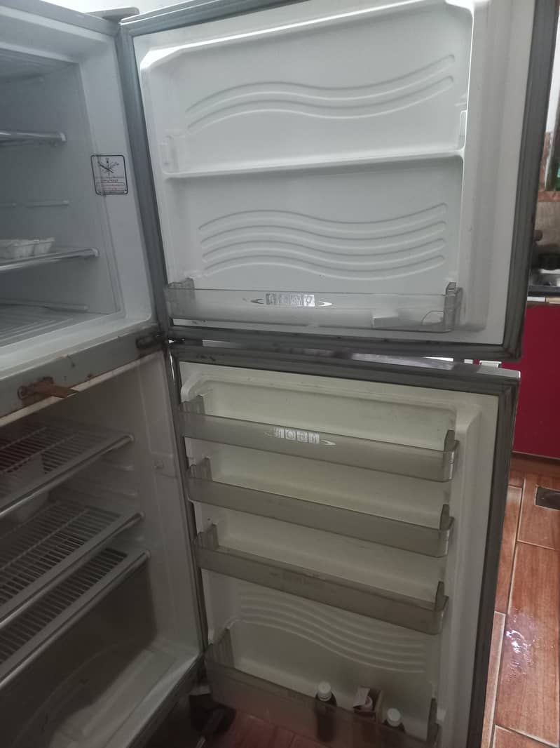 medium sized refrigerator 5