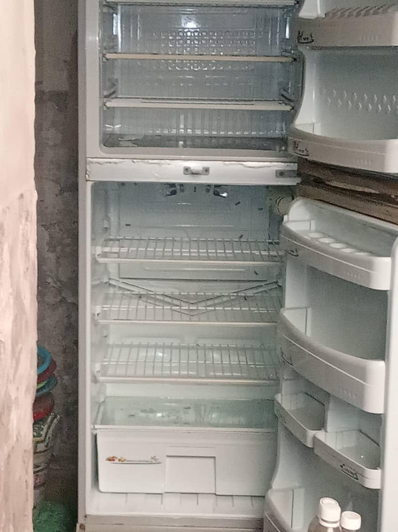 PEL Fridge 1