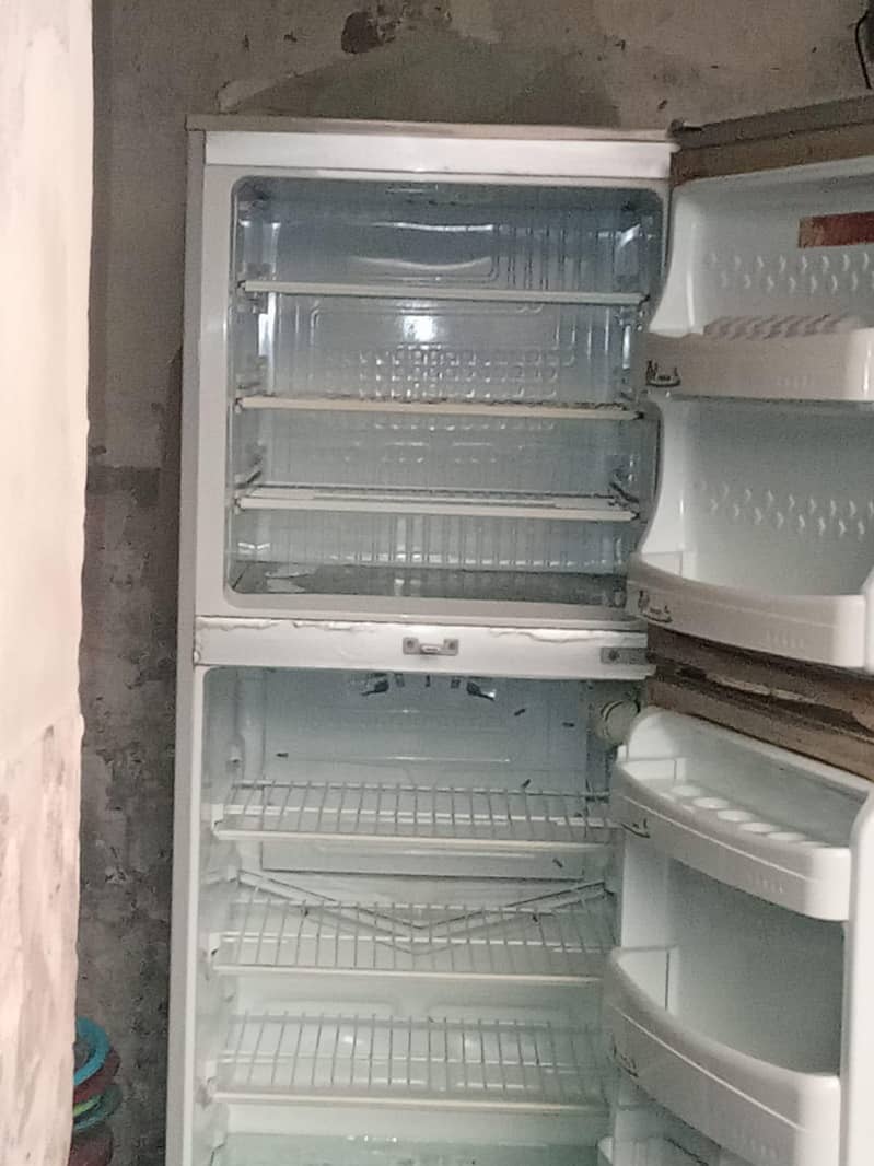 PEL Fridge 3