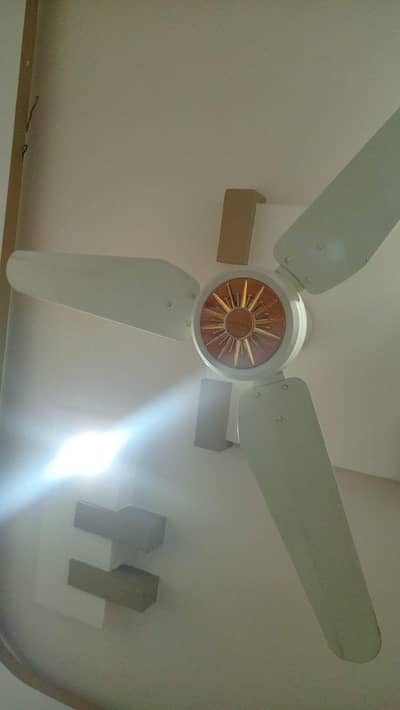 pak asia ceiling fans for sale