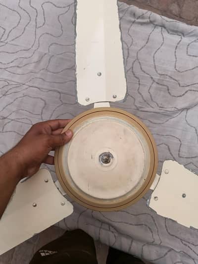 celling fan for sale