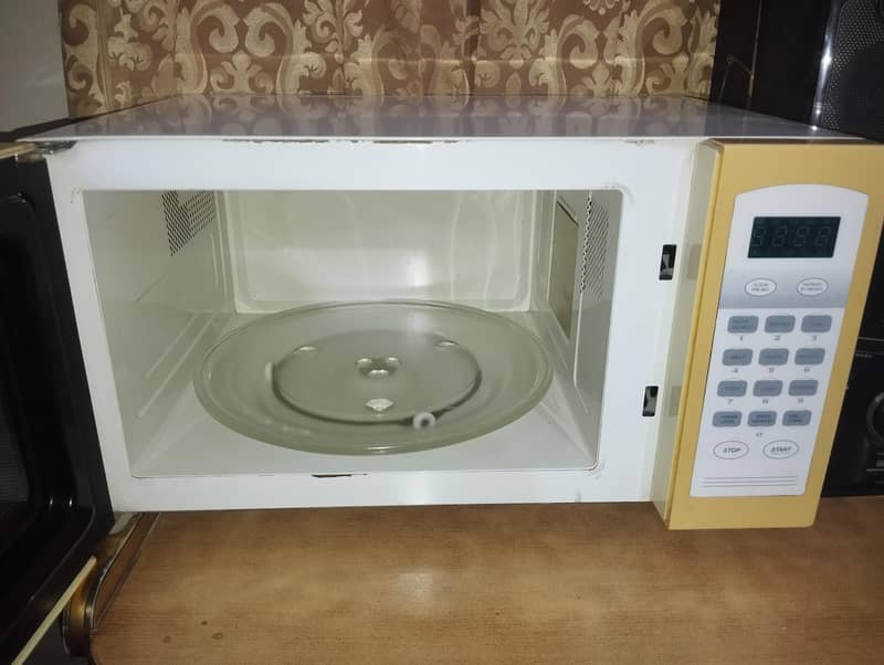 micro oven 1