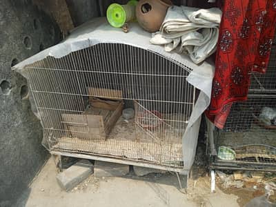 2 cages for sale