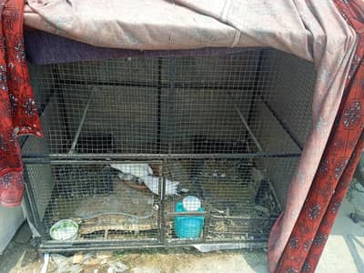 2 cages for sale