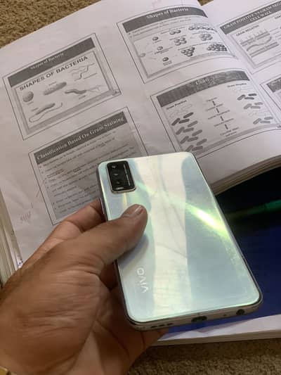 Vivo mobile