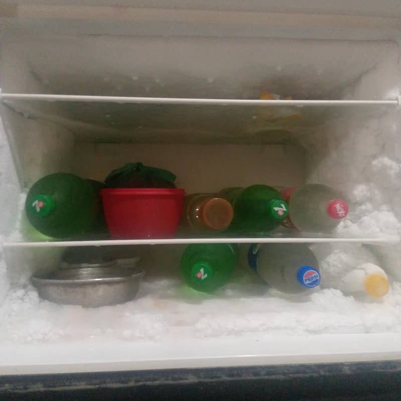 frige 1