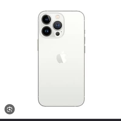 13 pro max