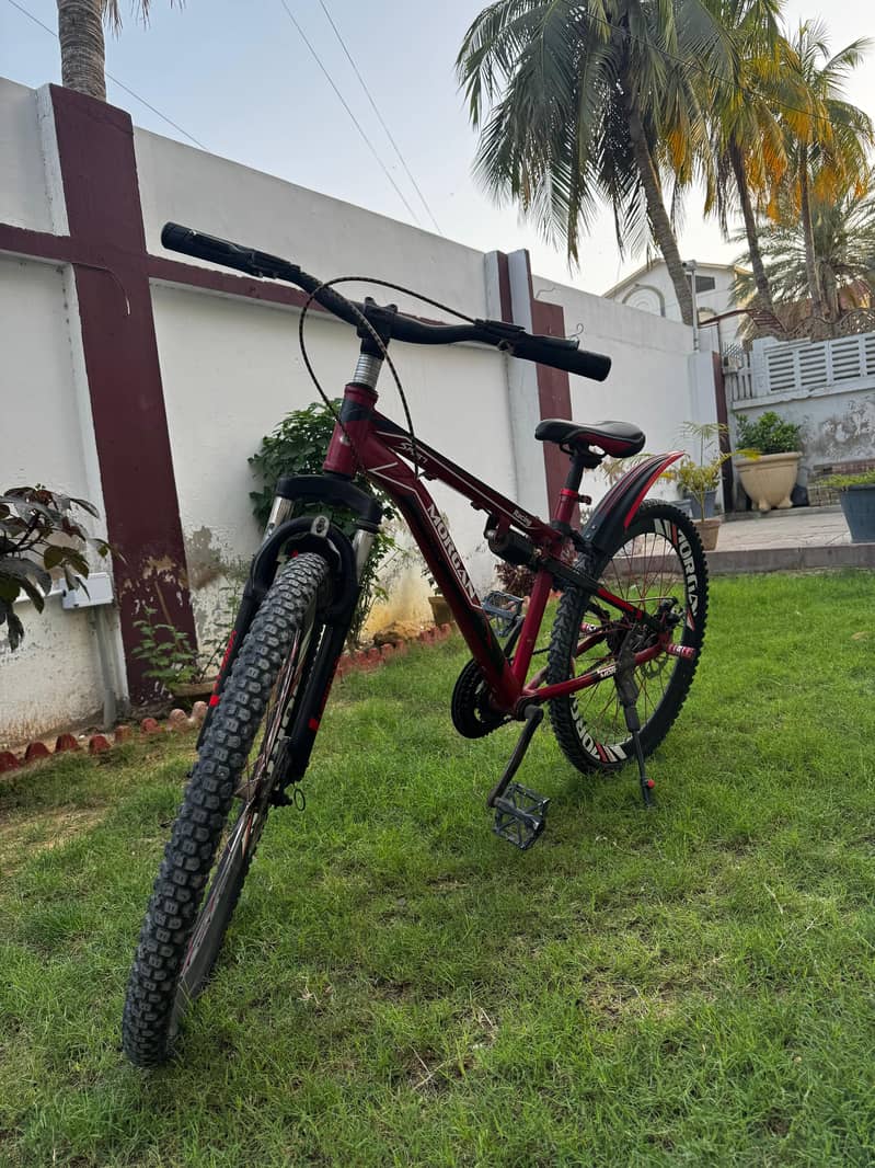 cycle (MTB) 1