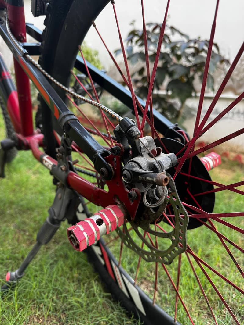 cycle (MTB) 5