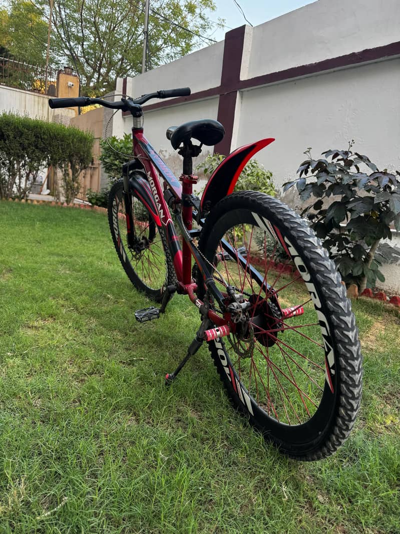 cycle (MTB) 11