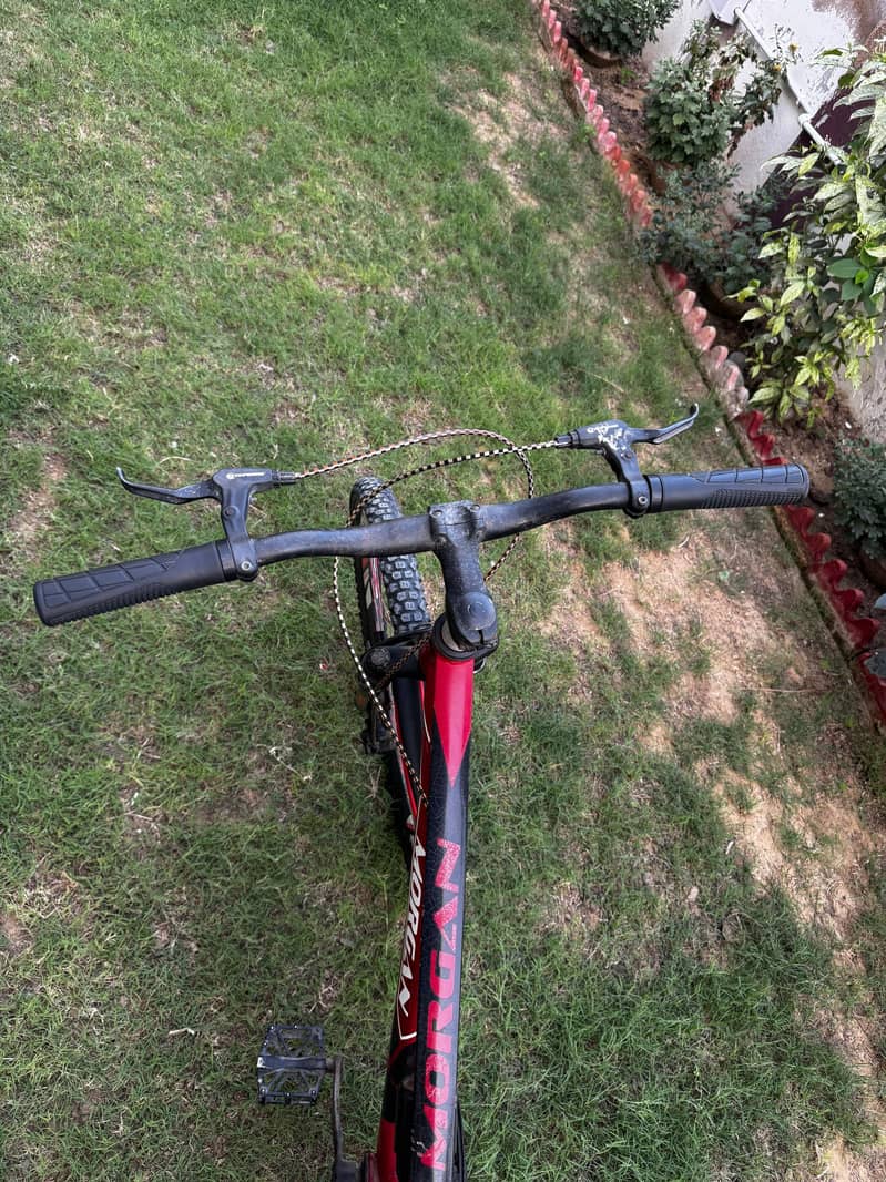 cycle (MTB) 12